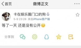文子吃瓜公众号,揭秘娱乐圈那些不为人知的幕后故事