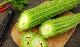 塞伯坦吃瓜,一场星际吃瓜盛宴