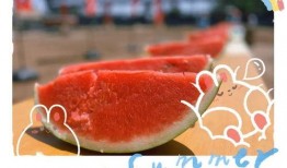 大早上就有瓜吃,揭秘早间美食盛宴