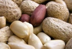 吃瓜花生老放屁,老放屁背后的趣味生活揭秘