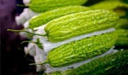 池瓜孕妇可以吃吗,池瓜孕妇食用指南