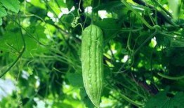 每日最新吃瓜,揭秘娱乐圈最新热点事件