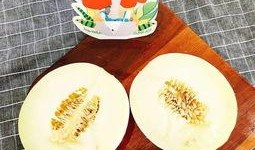 吃鱼吃瓜吃饭,饭桌上的美味交响曲