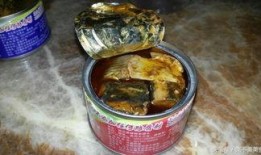 大瓜吃鲱鱼罐头,揭秘鲱鱼罐头背后的独特风味