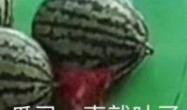 吃吐的瓜,那些吃吐的瓜背后的真相