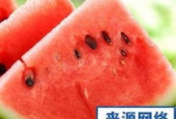 吃瓜胖吗胖,吃瓜也能变胖？揭秘日常饮食中的增肥陷阱