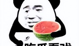 卖瓜吃瓜表情包,卖瓜吃瓜表情包背后的趣味人生