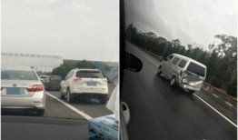 遛狗吃瓜现场,欢乐现场一幕