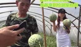 吃瓜直播不违法吗,揭秘网络时代的法律边界