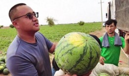 吃瓜照片调色,揭秘照片调色背后的艺术魅力