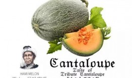 一号吃瓜,揭秘娱乐圈背后的那些事儿