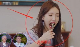 金晨吃的瓜,娱乐圈背后的故事与真相