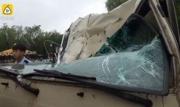 挖掘机吃瓜,一场别开生面的农业趣味秀