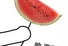 吃瓜傻西瓜,揭秘瓜界奇闻轶事