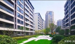 吃瓜局楼市,揭秘房地产市场背后的故事与真相