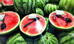 耗子尾汁 吃瓜,揭秘“耗子尾汁”与“吃瓜”背后的文化现象