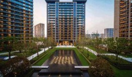 融耀新城吃瓜,揭秘吃瓜群众的欢乐盛宴