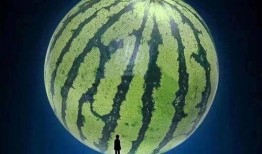 吃瓜后续进展,揭秘幕后真相，追踪最新进展