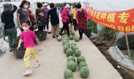 吃瓜群众请参与,揭秘娱乐圈幕后故事