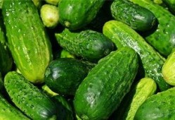 梦见吃沙瓜,探寻吃沙瓜的神秘寓意