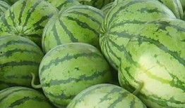 肾阳虚吃啥瓜,这些瓜果助你温补肾阳