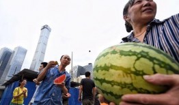 朝阳人民吃瓜,揭秘京城百姓的“吃瓜”日常