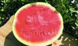 顾寻吃瓜,揭秘娱乐圈背后的那些事儿