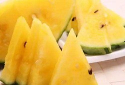 地野瓜怎么吃最好,解锁美味新体验