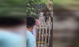 遵义吃瓜群众视频曝光,揭秘当地街头美食风云