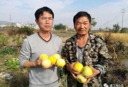 快乐吃瓜群众活动,快乐吃瓜群众狂欢盛宴