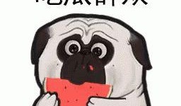 带你吃瓜世界,一网打尽“吃瓜”世界