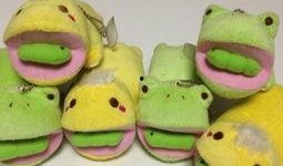 玩偶青蛙吃瓜,玩偶青蛙的夏日瓜果盛宴