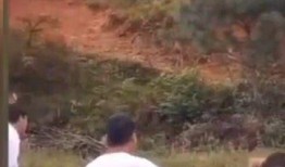 吃瓜新娘伴郎们,一场欢乐的婚礼盛宴