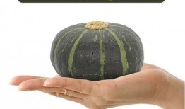 贝贝瓜幼儿吃的好处,幼儿健康成长的天然伴侣