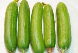 夏季吃瓜多好吗