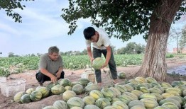 每日最新吃瓜,揭秘娱乐圈最新热点事件