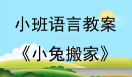 吃瓜啦的教学反思,探索趣味与知识的完美融合