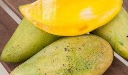 吃瓜能吃梨吗,吃瓜也能吃梨？揭秘水果界的跨界美味