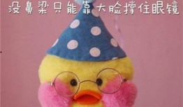 吃瓜鸭表情包图片
