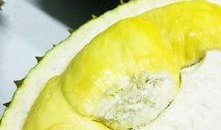 琨仑吃瓜,揭秘娱乐圈幕后故事