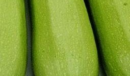 怎么吃白瓜最好