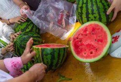 吃瓜视频国外,揭秘国外短视频平台的趣味与争议