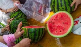 吃瓜视频国外,揭秘国外短视频平台的趣味与争议