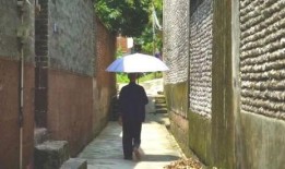 西街吃瓜群众事件,一场网络舆论的风暴与反思