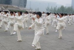 吃瓜太极,揭秘美食与哲学的和谐交融