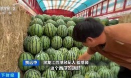 南丹吃瓜,揭秘当地特色美食背后的故事