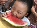 姿态吃瓜视频全集,揭秘娱乐圈幕后风云