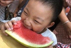 姿态吃瓜视频全集,揭秘娱乐圈幕后风云