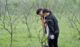 向往吃瓜,跟随“向往吃瓜”探寻明星幕后故事