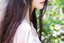 吃瓜少女王苏菲,揭秘娱乐圈背后的故事